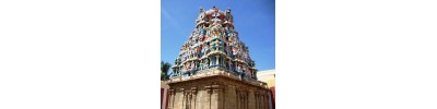 இரட்டைத் திருப்பதி (அரவிந்த லோசனர்)